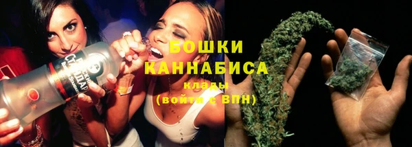 сатива Бронницы