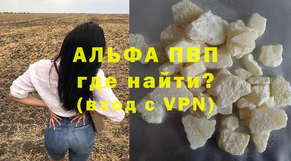 сатива Бронницы