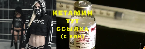сатива Бронницы