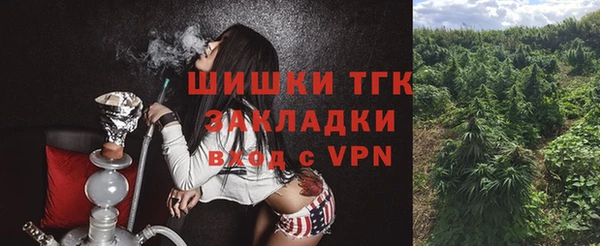 стаф Лабытнанги