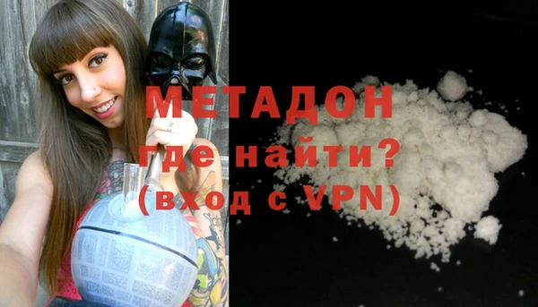 прущие грибы Ладушкин