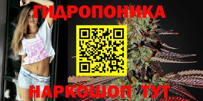 сатива Кандалакша
