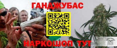 сатива Кандалакша
